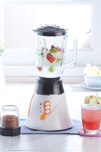 Bild der Browne BL300 Blender